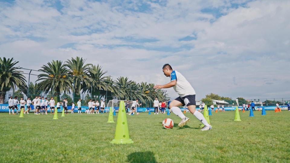 杨林波, 括伊利诺伊